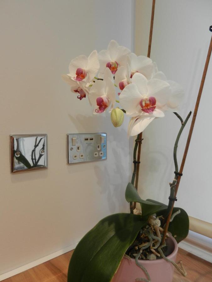 Boynton Hill B&B Nottingham Zewnętrze zdjęcie